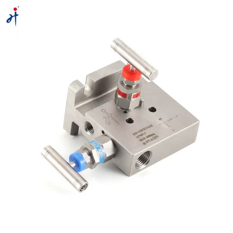 T Type Two Valve Manifold