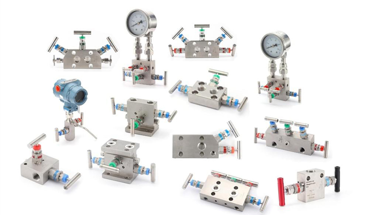 Valve Manifold